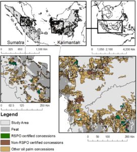 The study area: oil palm concessions on Sumatra and Kalimantan, Indonesia. Inset: details of two portions of the study area displaying non-exhaustive locations of oil palm concessions, including those that are RSPO certified, those that are non-RSPO certified, and those forwhom certification status is unknown, as well as the distribution of peatland. See Data and Processing for a description of categorization of oil palm concessions into those that are RSPO certified and those that are non-RSPO certified.